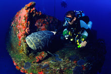 Carregar imagem no visualizador da galeria, Fernando de Noronha Terra e Água