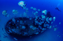 Carregar imagem no visualizador da galeria, Pernambuco Terra e Água