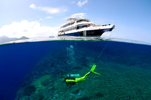 Mares Tropicais